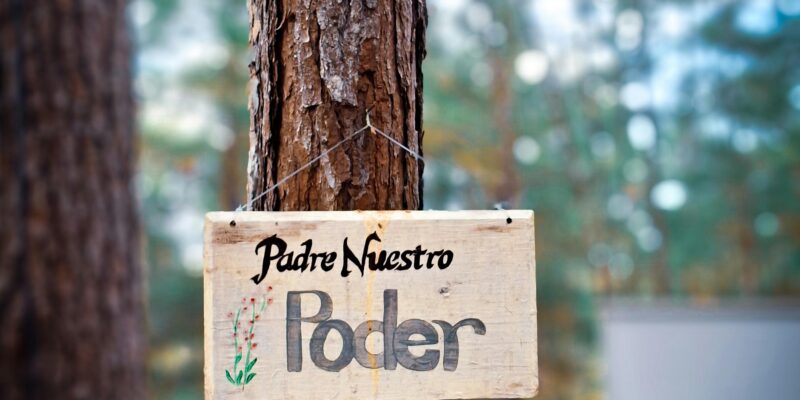 poder autonomia administração
