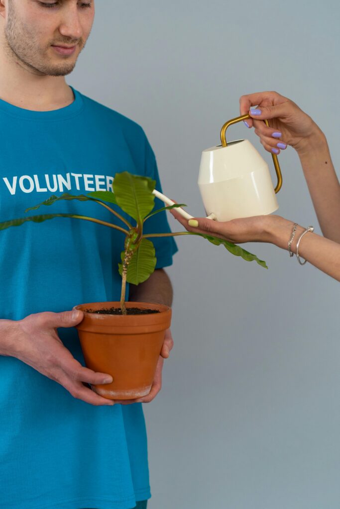 razões quais voluntariado